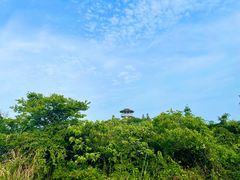 -天花井景区