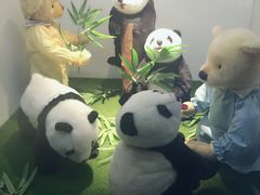 -成都泰迪熊博物馆