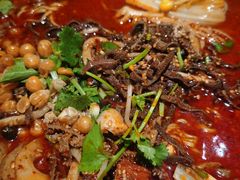 -张翻越·川渝冒菜·武汉黑鸭煲(城北万象城店)