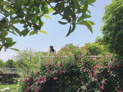 -武汉紫薇都市田园