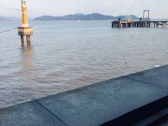-海中洲渔社