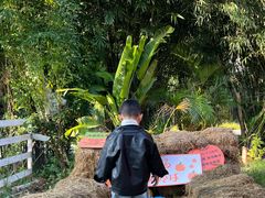 -HERRE·FARM 赫尔露营农场·团建聚会包场