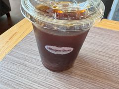 -哈根达斯(石家庄北国店)