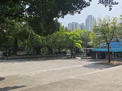-光明港公园