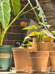 -青木造型HAIR·あおき髪を刈る潮人店