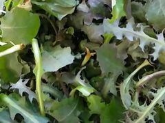 -水库活鱼馆(于桥水库店)