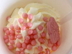 -果呀呀(凯德广场店)