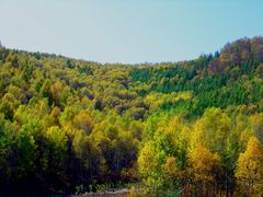 -塞罕坝国家级自然保护区