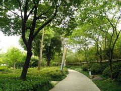 -新江湾城公园