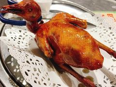 红烧乳鸽-石岐乳鸽村(南海第三分店)