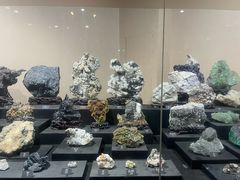 -烟台自然博物馆