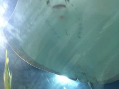 景点-福州罗源湾海洋世界旅游区