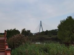 -芒洲湿地公园