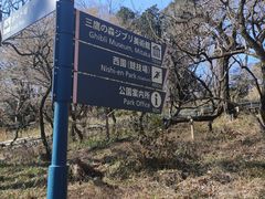 -三鹰之森吉卜力美术馆