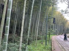 -黄公望隐居地