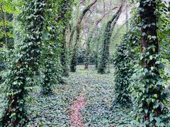 -华南国家植物园-售票处