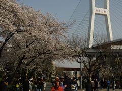 -南浦大桥长途旅游客运站