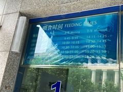 -上海海洋水族馆