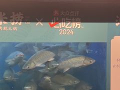 -淘米捞·米汤脆鲩鱼火锅(福田皇岗店)