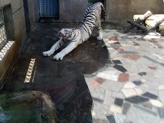-西安秦岭野生动物园