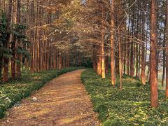 -上海市保健医疗中心