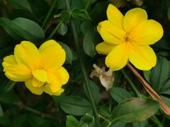 -苏州河梦清园环保主题公园