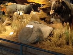 -扬州科技馆