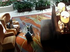 android_upload_pic-广州白云机场雅高铂尔曼大酒店