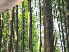 -山王坪喀斯特国家生态公园