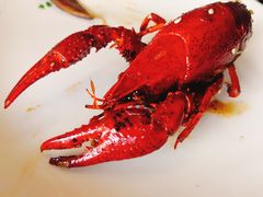 十三香小龙虾-金陵暴走小龙虾·迷踪蟹(凯德MALL店)
