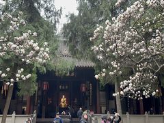 -成都武侯祠博物馆