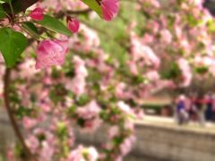 -海棠花溪(元大都城垣遗址公园)