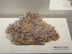 -重庆自然博物馆(新馆)