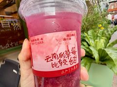 -森茶(湛江万达店)