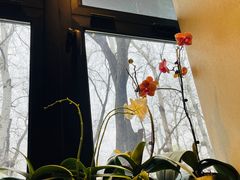 -BOCATA 西班牙餐厅(三里屯店)