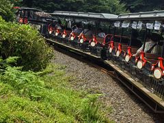 -济州森林小火车生态公园