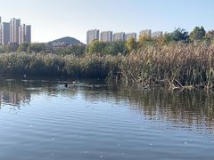 -前关湿地公园