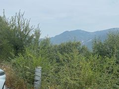 -妙峰山风景名胜区