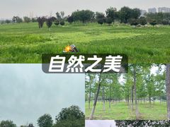 -汉长安城未央宫国家考古遗址公园