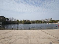 -新江湾城公园