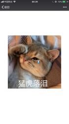 -侨治发型