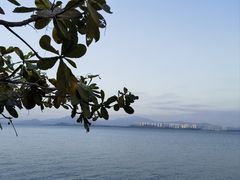 -深圳湾公园(南山区)