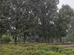 -达活泉公园