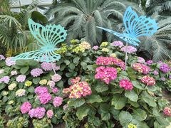 -石家庄市植物园