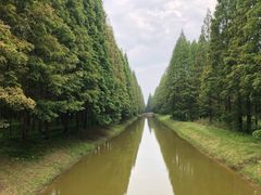 -黄海国家森林公园