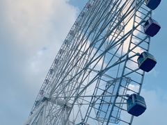-弘阳·未来世界(弘阳广场店)