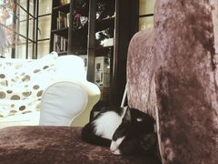 -NOTOOCAFE不二咖啡馆(岩前店)