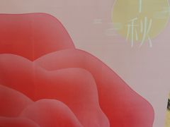 -蒲公英(五里店)