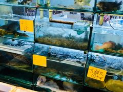 -青竹园海鲜餐厅(海天路店)