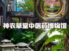 -广州神农草堂中医药博物馆
